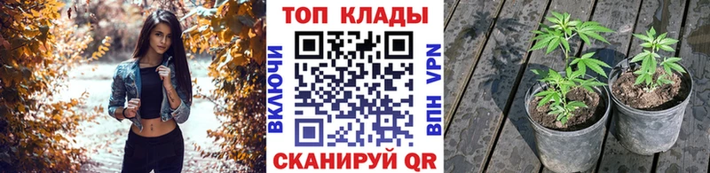 Купить наркоту Челябинск ГАШ  Амфетамин  Меф мяу мяу 
