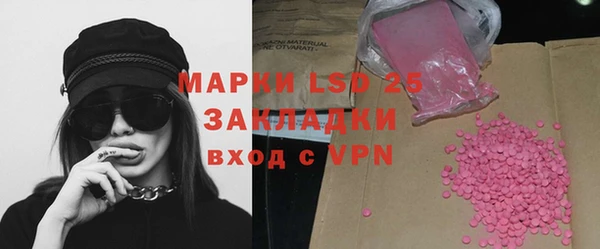 прущие грибы Бугульма
