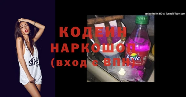 тгк Бородино