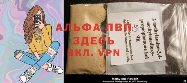 тгк Бородино