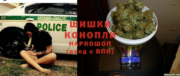 тгк Бородино