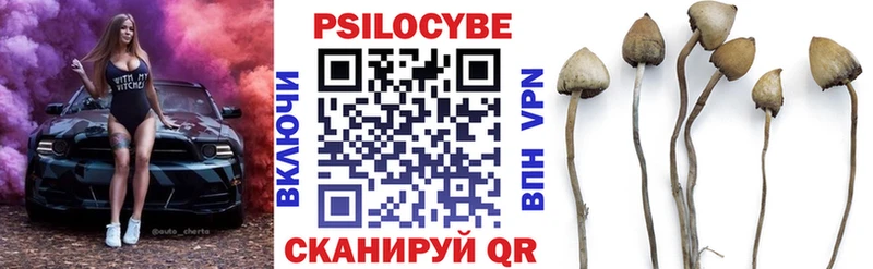 Псилоцибиновые грибы Cubensis  Челябинск 